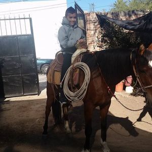 Meet your Posher, Oswaldo